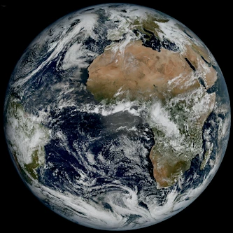 La Terre qui nous habite ! - Le Testament du Vivant - The Seed - Amour de la Nature